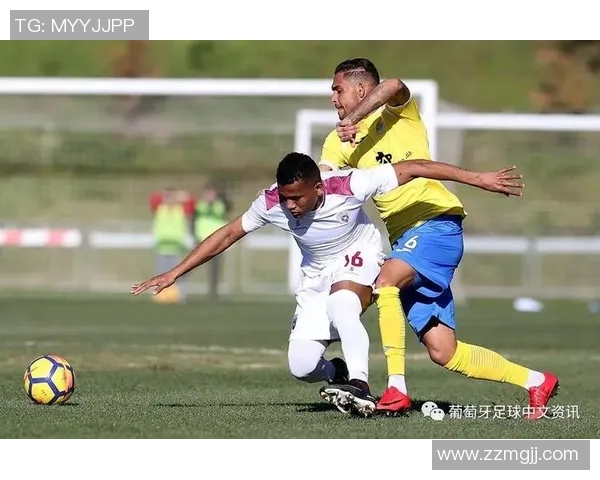 葡萄牙足球盛宴布拉加迎战科英布拉争夺荣耀与胜利 葡萄牙足球盛宴布拉加迎战科英布拉争夺荣耀与胜利